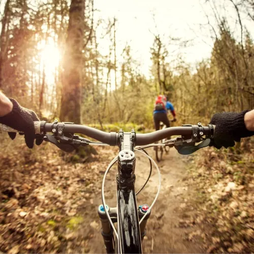 Maastopy&ouml;r&auml;ily&auml; mets&auml;polulla, aurinko paistaa puiden lomasta.
